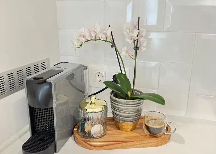 Anabel Apartamento Burgas